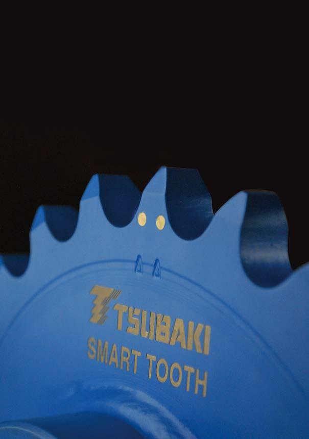 Tsubaki Smart Tooth Drive system inspection and maintenance add cost to any production facility.