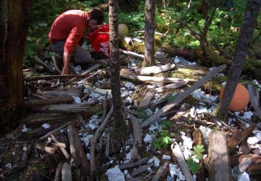 Styrofoam An extraordinary amount of Styrofoam debris layers Gulf of Alaska beaches.