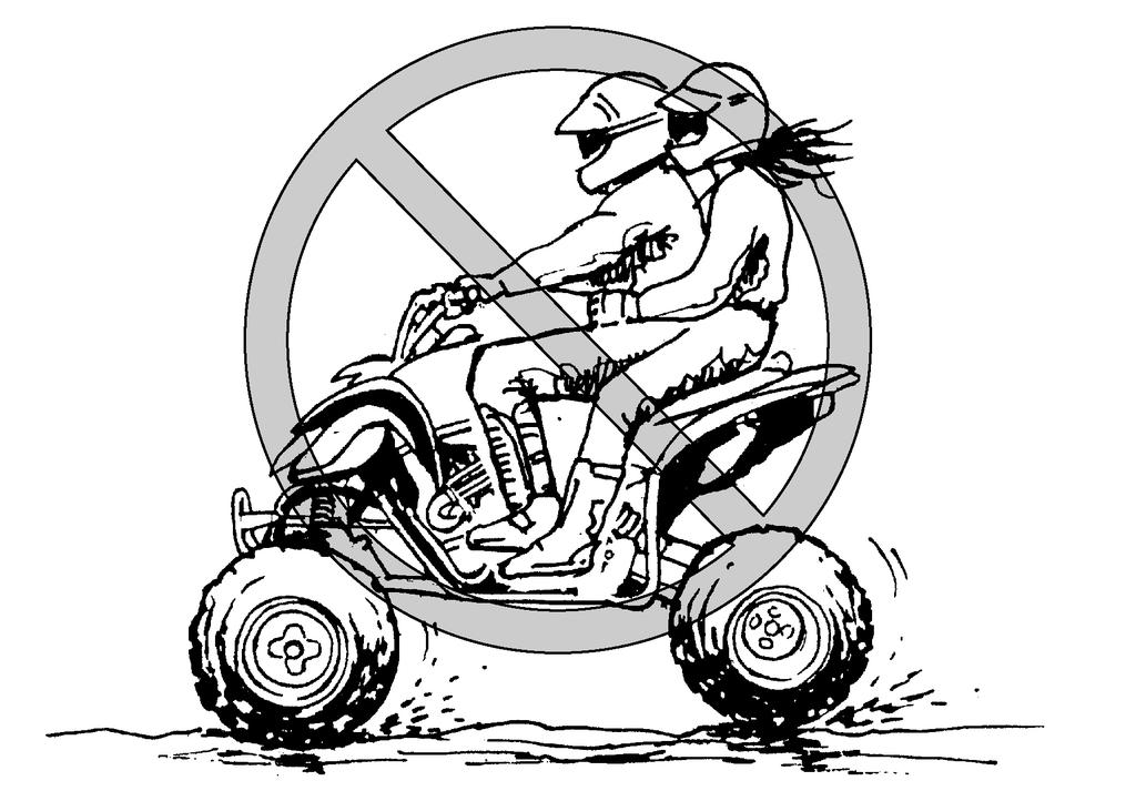 WHAT CAN HAPPEN Greatly reduces your ability to balance and control this ATV. Could cause an accident, resulting in harm to you and/or your passenger.