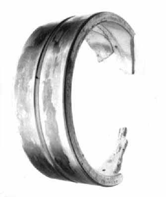 The types of bearings failures, location of the failed bearings and the date of the failure were recorded.