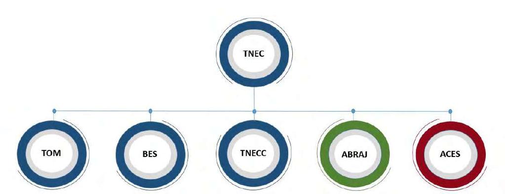 4 STRUCTURE OF ORGANIZATION TNB ENGINEERING CORPORATION SDN BHD TNEC OPERATIONS & MAINTENANCE SDN BHD BANGSAR ENERGY SYSTEMS SDN