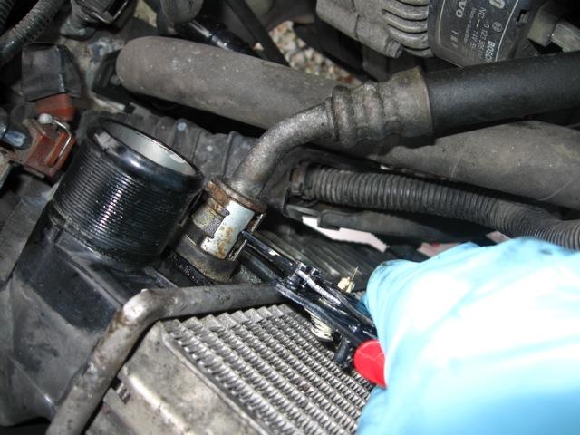 14) Remove clips and disconnect engine oil cooling lines (upper and lower) and catch