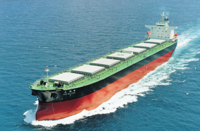 TIAN BAI FENG 74,269-dwt Bulk Carrier One of the standard Panamax series, this 74,269-dwt bulk carrier was built by Namura