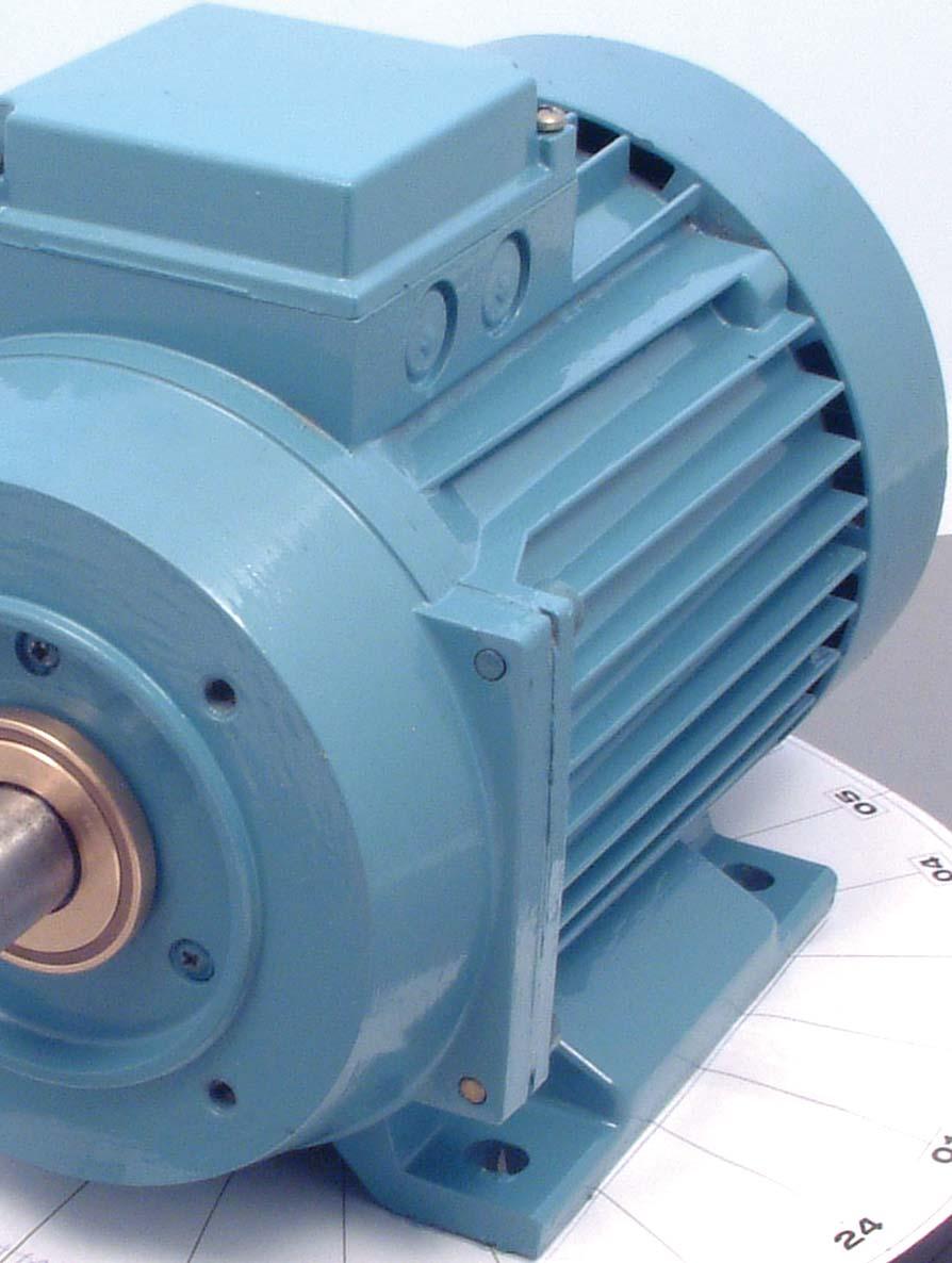 Protecting Electric Motor Integrity The Electric Motor is the most popular piece of rotating equipment in the world today.