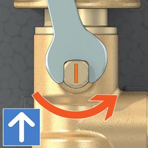 Temperature gauge can be removed if needed better view this operation. The check valve is opened by the ba, see figure ().