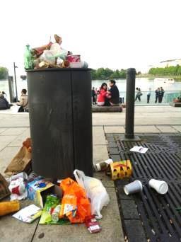 The Problem Standard waste bins are not