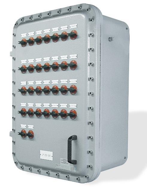 EJB Enclosures ATEX and IECEx Zone 1 certified Explosion proof Marine grade copper-free aluminium IP66 The EJB Series is a range of explosion-proof enclosures, available in either