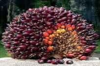 Economic Uncertainty Affect the World Palm Oil