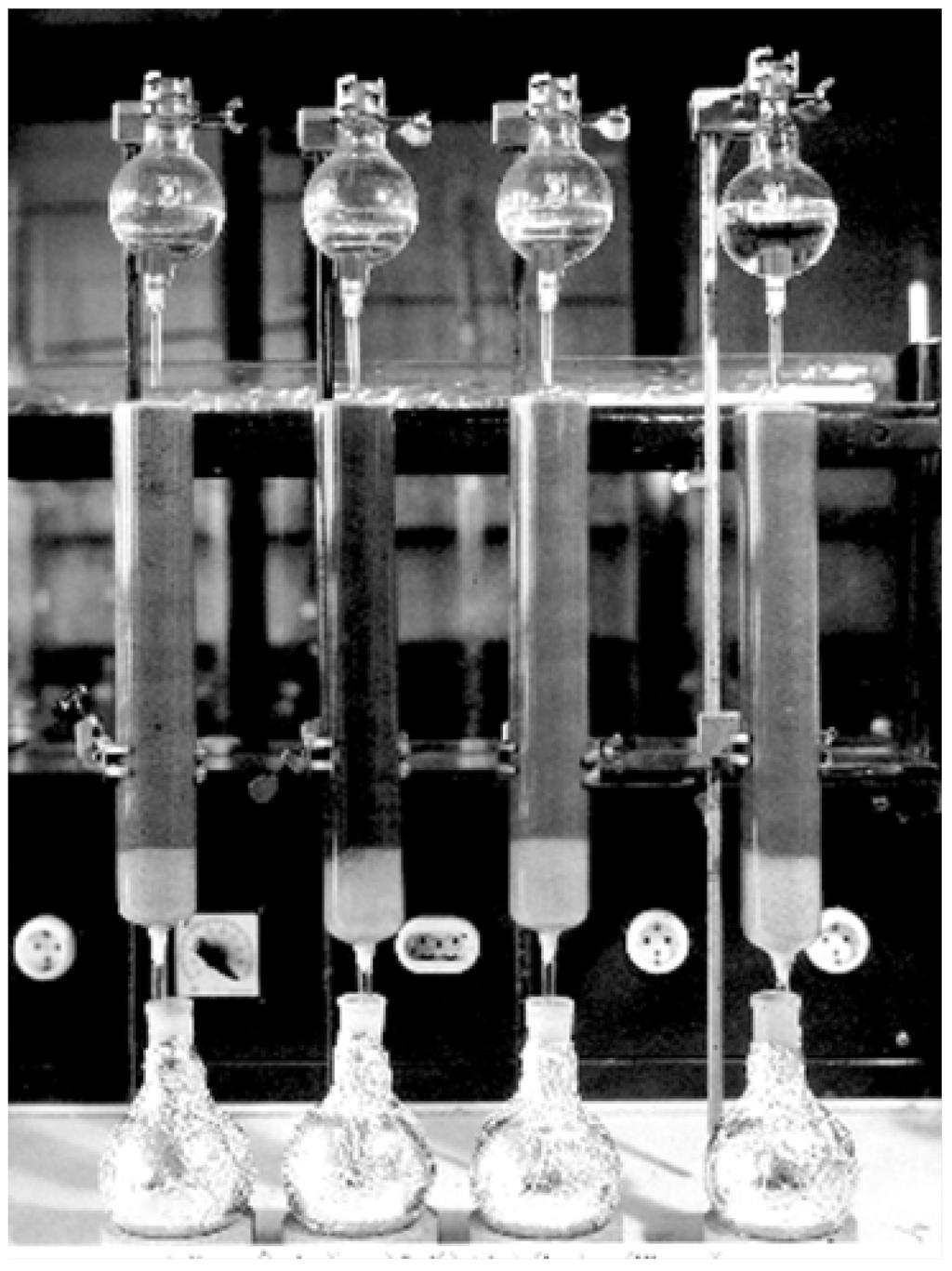 DODATEK 2 Slika 1: Primer nedeljivih kolon za izpiranje iz stekla z dolžino 35 cm in notranjim premerom 5 cm (1) Liji kapalniki za dovajanje umetnega dežja Stekleni sintrani disk za preprečevanje