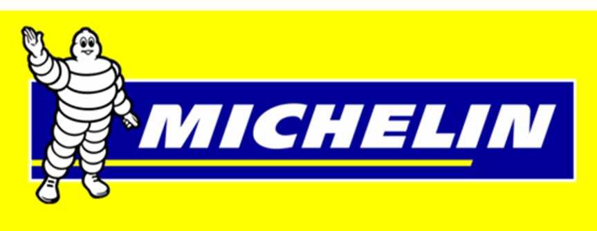 MICHELIN: a 100% Premium Brand in Every Market 100 85 70 TIER 1 TIER 2 TIER 3 Tier 1 segment: 1/3 of the global PC/LT tire market 2012