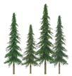 They are available in three categories: Super Scenic, Premium and Professional. The Super Scenic Series is economical and provides already-assembled evergreen and deciduous tree species.