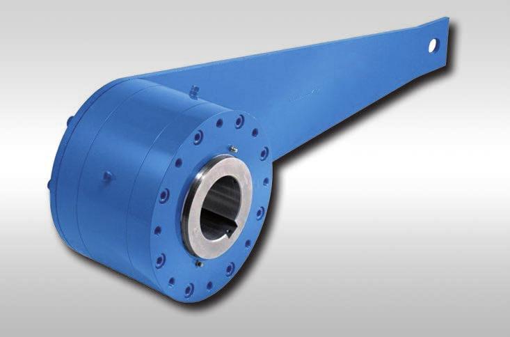 Complete FRHM with arm with sprags Motor Reduction gear 18-1 Application as Backstop for installations with low speeds.
