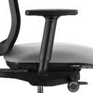 Standard Optional Feature Standard Optional Synchronised mechanism Fixed arms Height adjustable