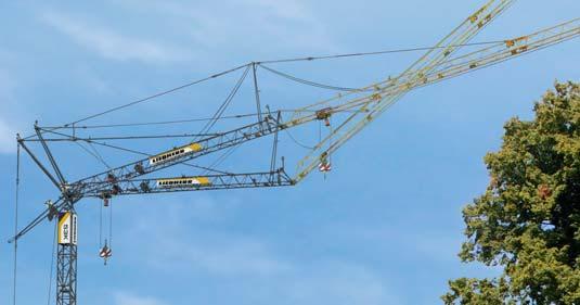 High building projects, multiple slewing cranes or obstacles such as high voltage