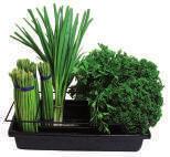 TUBS HERB PACKET TRAY 415 x 365 x 35mm DFD000460 SHALLOW DISPLAY