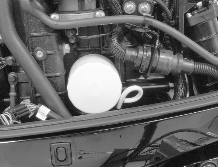 MAINTENANCE 2. Turn the steering on the outboard so that the drain hole is facing downward. Remove drain plug and drain engine oil into an appropriate container.