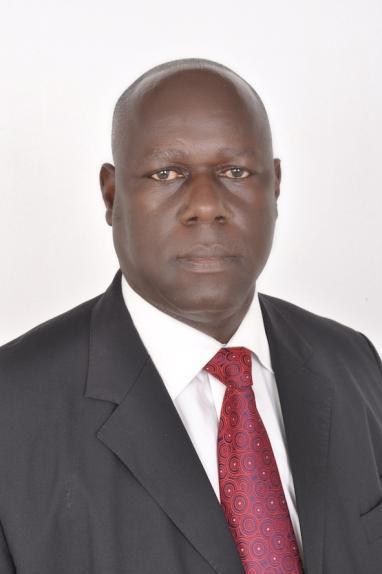 Biography Philbert Rweyemamu was appointed Buzwagi General Manager in October 2014 having been General Manager of Tulawaka since September 2012.
