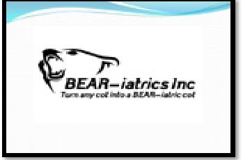 Mac's Lift Gate Inc. and BEAR iatrics Inc. Turn any cot into a BEAR iatric cot From the desk of Keith Ishida, President of BEAR iatrics Inc.