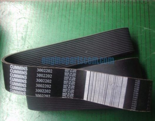 Multi-groove belts A multi-groove or polygroove belt is made up of usually 5 or 6 "V"