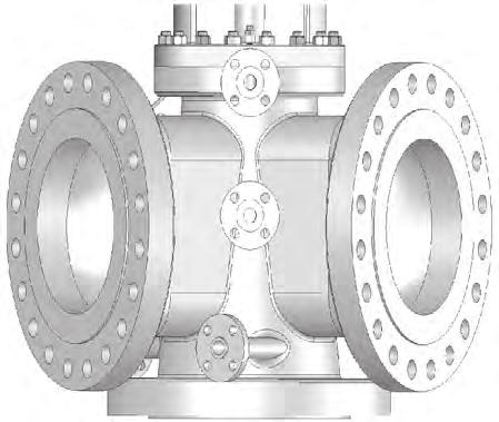 metal; wide sealing lip Flanges Fully flanged RF and RTJ, DIN and ANSI Through bolt holes Jacketing Full or partial jacketing available.