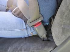 The Vehicle s lap AND shoulder belt
