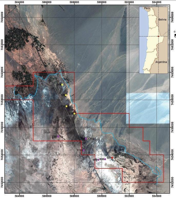 Atacama: High-Grade, Near- Surface Lithium Brines Near-surface samples assaying upto 1330 mg/l Grades comparable to production grades at the