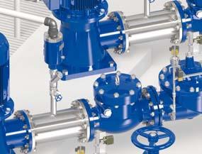 variation the active check valve system ()