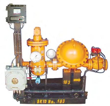 requirement. Meter accessories include bulk air/vapor eliminators, strainers, valves, and mechanical or electronic registers.