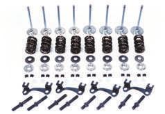 QUALITY STRENGTH PERFORMANCE SINCE 1981 ACCESSORIES & SERVICE PARTS SMALL BLOCK CHEVY HEAD PARTS KITS Includes valves, springs, steel retainers, locks, guide plates, studs, and seals (per head).