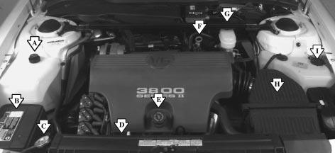 3800 Series II Engine (L36 - Code K) When you open the hood, you ll see: A. Engine Coolant Recovery Tank B. Battery C. Radiator Pressure Cap D.