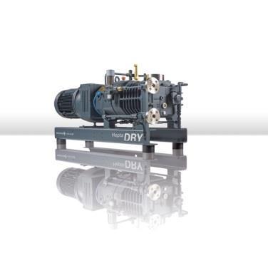 Dry screw pump advantages / disadvantages Advantages Dry compression High pumping speeds 50 2,000 m 3 /h Durable, tolerant to particles and vapours Dry forevacuum pump for roots pumping units