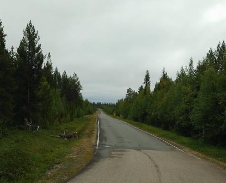 coated s Road