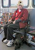 Services for Individuals with Disabilities and ADA Specifications for Transit Vehicles.