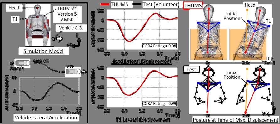 Dummy Technology and Biomechanics, Germany) [12] was used to evaluate the fitting of two displacement time history curves. The rating result for the head displacement curves was 0.