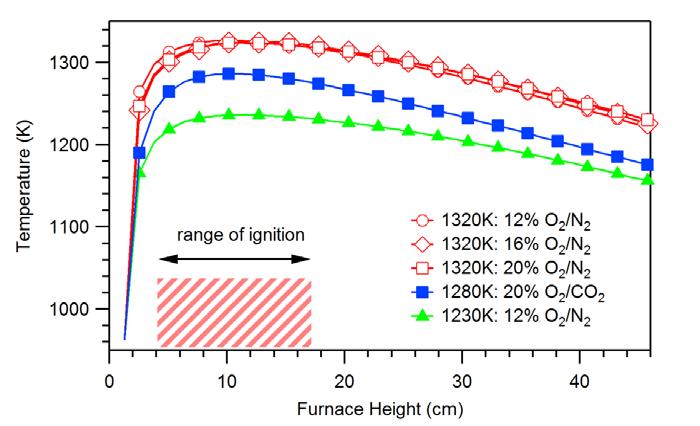 Furnace Gas Temperature Profiles