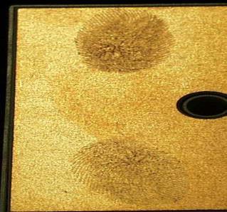 Figure 2: NiAu DCB with fingerprints or