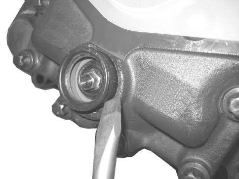 31 5.3 Renewing Adjuster Nut Gaiter Note: If the gaiter only is to be renewed it is not necessary to dismantle the brake caliper and cylinder.