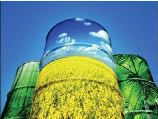 transformation of vegetable oils for their use as fuels Petroleum replacement