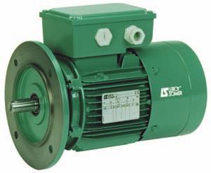 General information LIFTING USE : U.L. Enclosed three-phase asynchronous brake motors, LS series with failsafe brake, according to IEC 34, 72, EN 50281. Single speed : 0.
