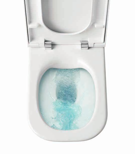 Breakthrough Innovation Toilet suites have been the cornerstone of bathrooms for the last few decades.