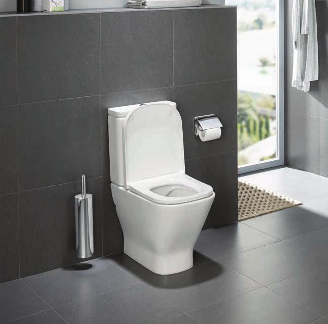 The Meridian In-Tank and The Gap Rimless toilet suites are the most recent products that cement Roca as a leader in design and innovation.