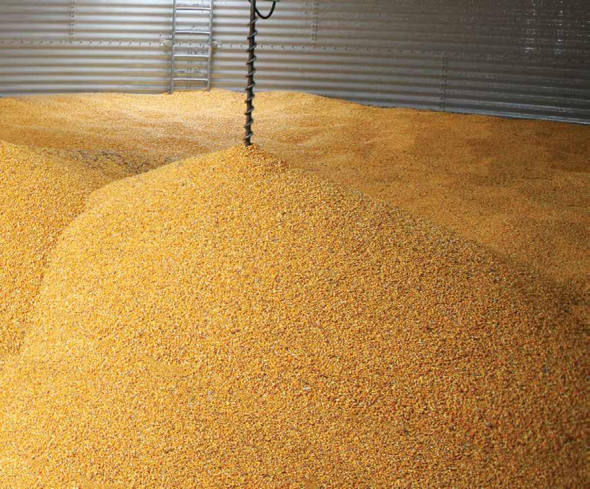 No One Knows Drying Like Sukup For over 50 years Sukup has been making grain drying more efficient and profitable.