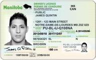 First driver s licence When you are issued a new Manitoba driver s licence, you will be provided with a temporary driver s licence certificate (valid for up to 45 days).