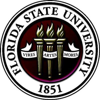 The Florida State University Institute