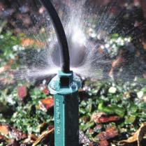 Sprays]SprayStakes Senninger Spray Stakes are an intelligent choice for in-container irrigation.