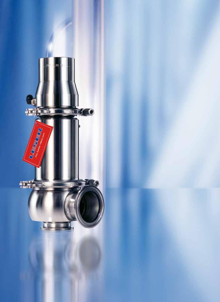 Clean Service Safety Relief Valves