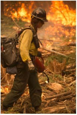 Wildland Fire Boot Camp Overview Individuals completing this training will be provided opportunities to apply for seasonal employment.