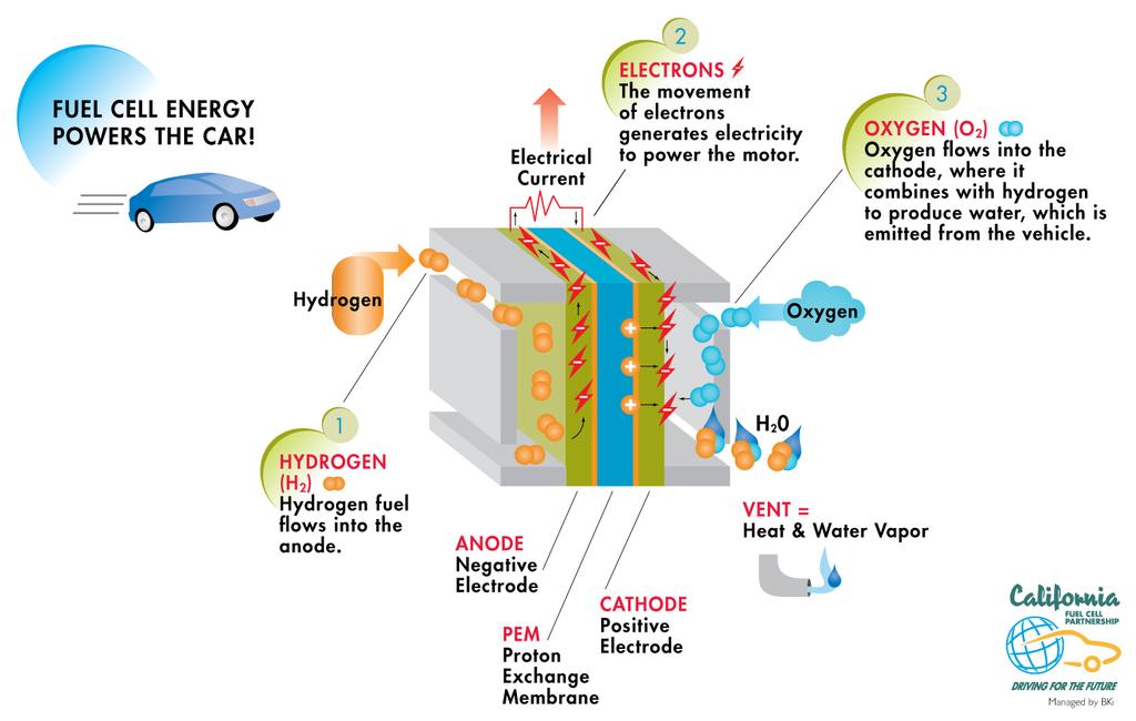 What is a fuel cell electric vehicle (FCEV)?