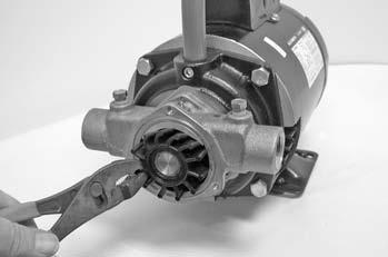 Flexible impeller pumps are built to very close tolerances and this tolerance must not be altered. The liquids must, therefore, be free of all abrasives. Sand, silt, wettable powders, etc.
