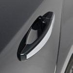 REGAL EXTERIOR Door Handles These Body-Color Door Handles feature a Chrome Insert, and replace the factory door handles to give your Regal a stylish, more personalized appearance.